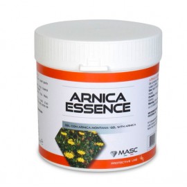 Masc Gel Arnica Essence 750Ml - Giuglar Shop