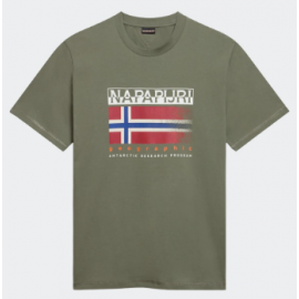 Napapijri S-Kreis Green Lichen T-Shirt M/M Verde Bandiera Uomo - Giuglar