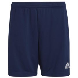 Adidas Junior Ent22 Tr Short Blu Junior - Giuglar